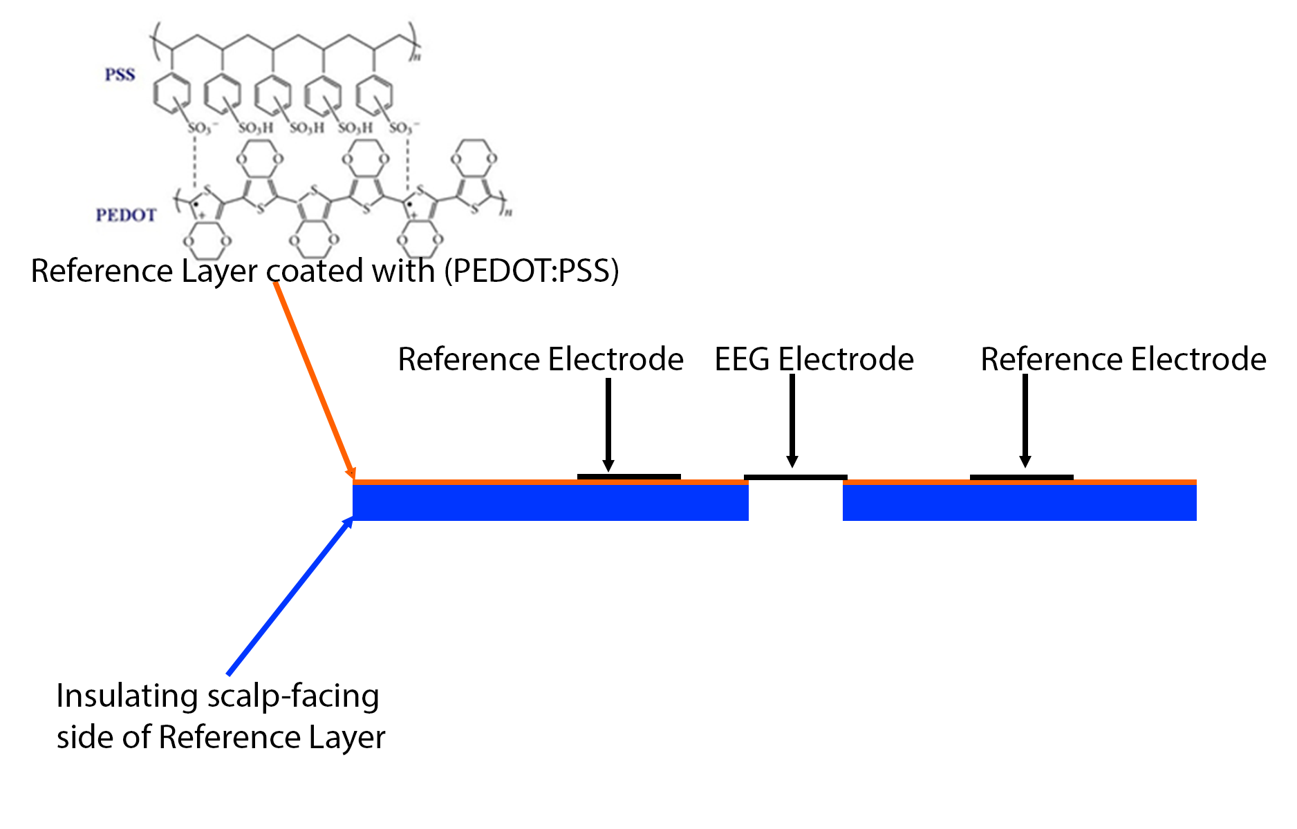 Diagram of Reference Layer design, with chemical structure of PEDOT:PSS and representations of EEG and Reference Electrodes on outward facing side of layer